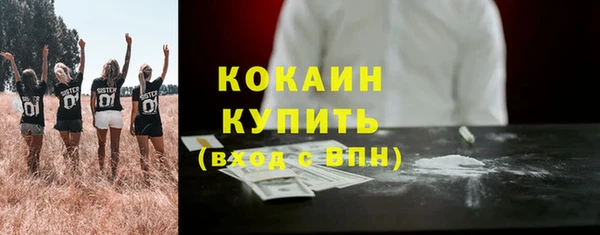 молекула духа Богородск