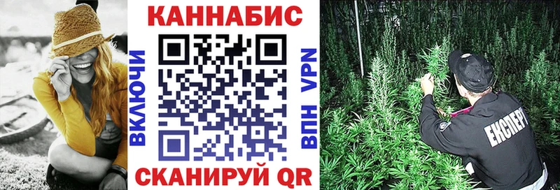 Конопля гибрид  блэк спрут ONION  Ковылкино 